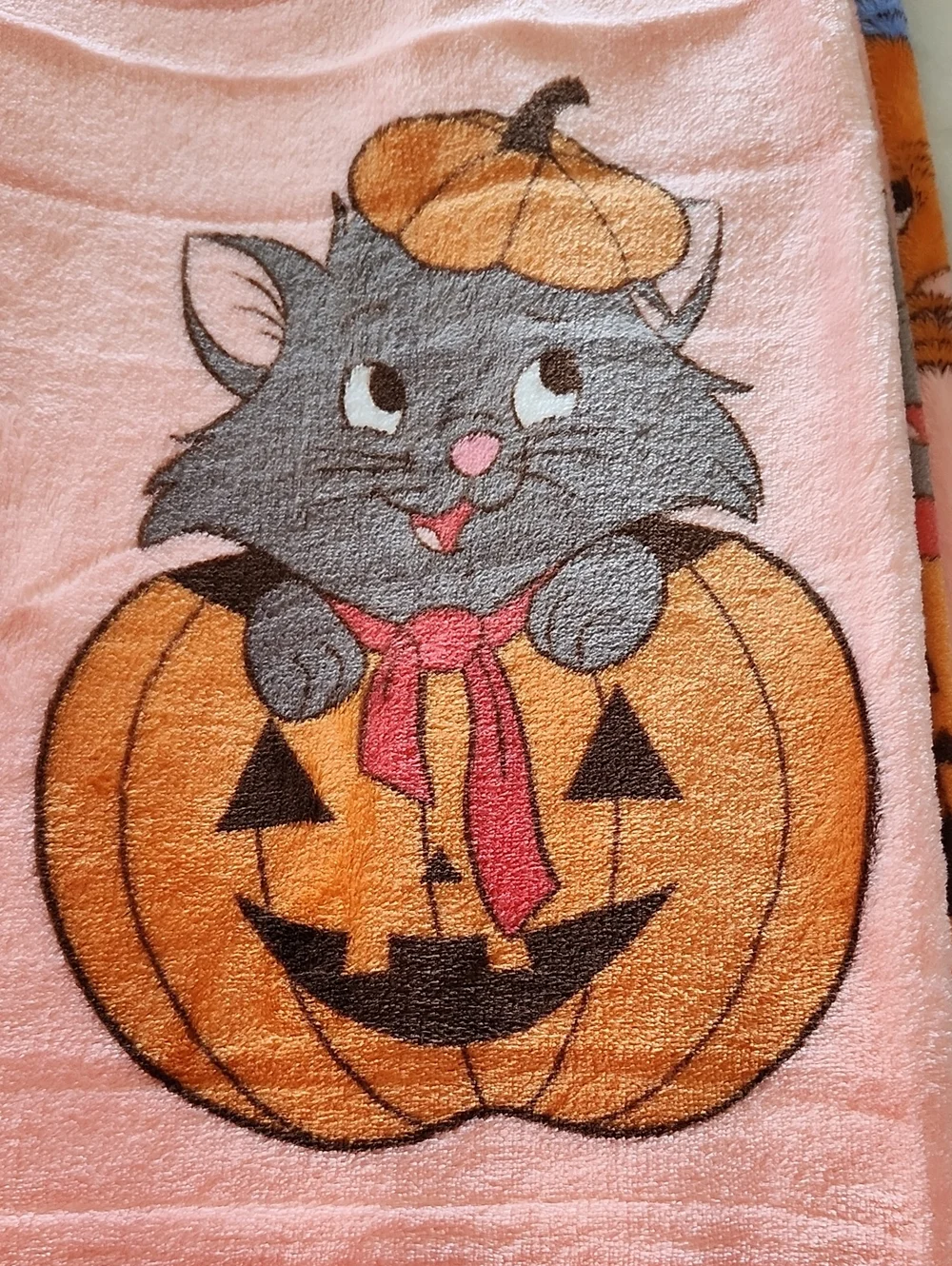 Disney Halloween Aristocats Blanket - Soft Plush Throw